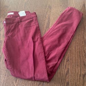 Hollister pants